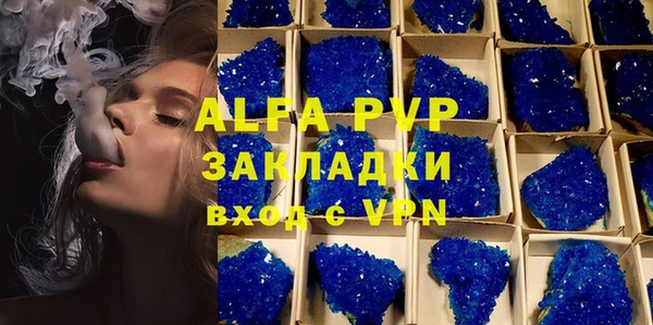 шишки Арсеньев
