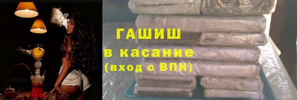 прущие грибы Алзамай