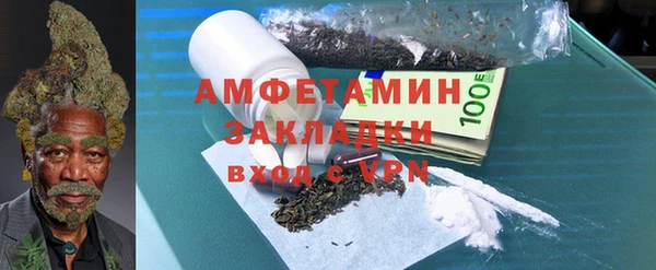 шишки Арсеньев
